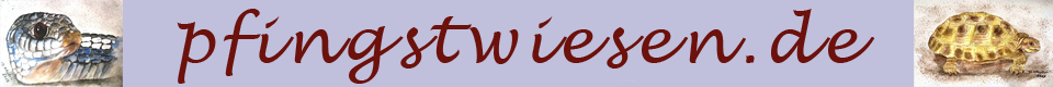 Pfingstwiesen.de